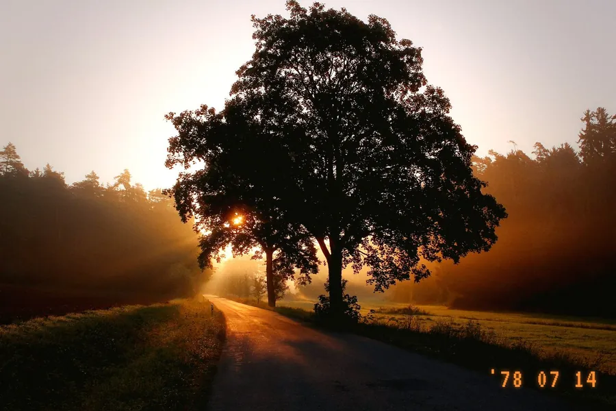 Photo taken with the Studio 78 camera in Camattic